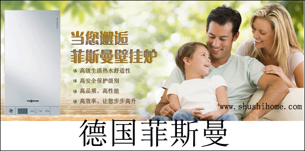 菲斯曼、博世、威能那个好