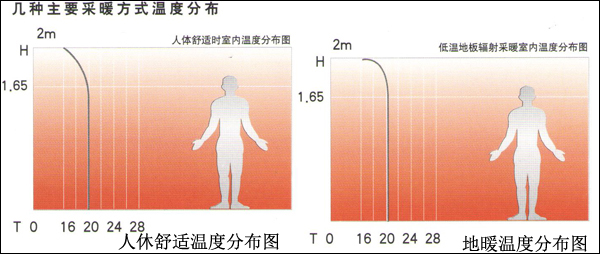 地暖采暖室内热分布图